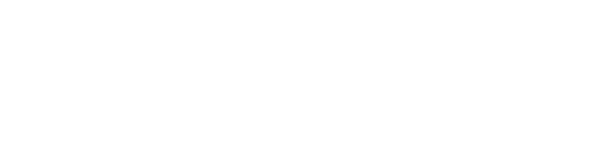 Livelong Wealth Global logo